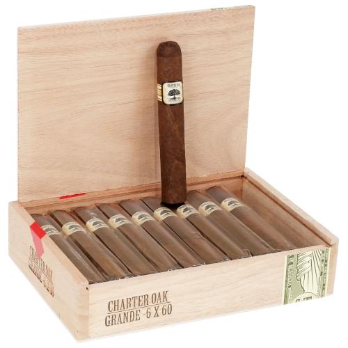 Foundation Charter Oak Connecticut Broadleaf