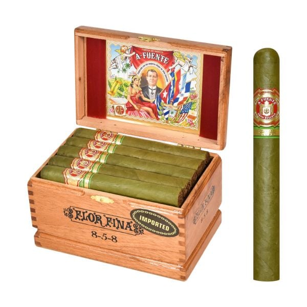 Fuente 858 Candela