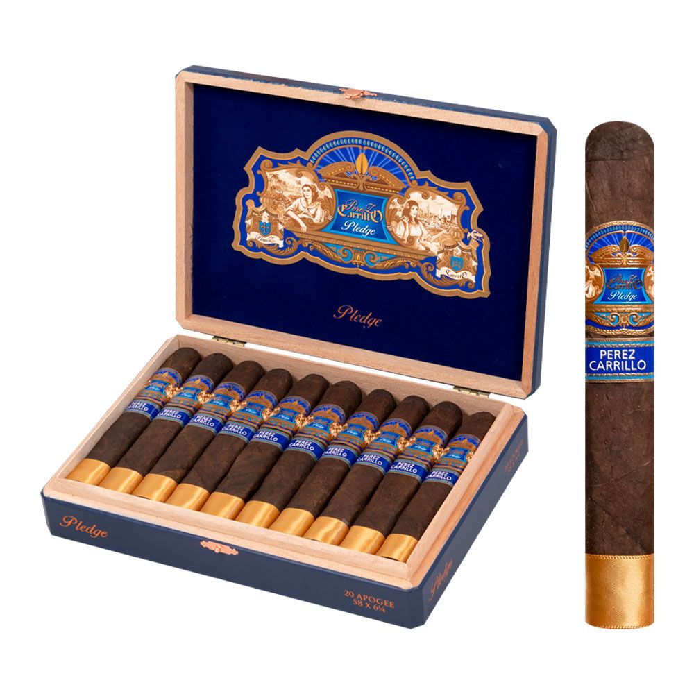 E.P. Carrillo Pledge