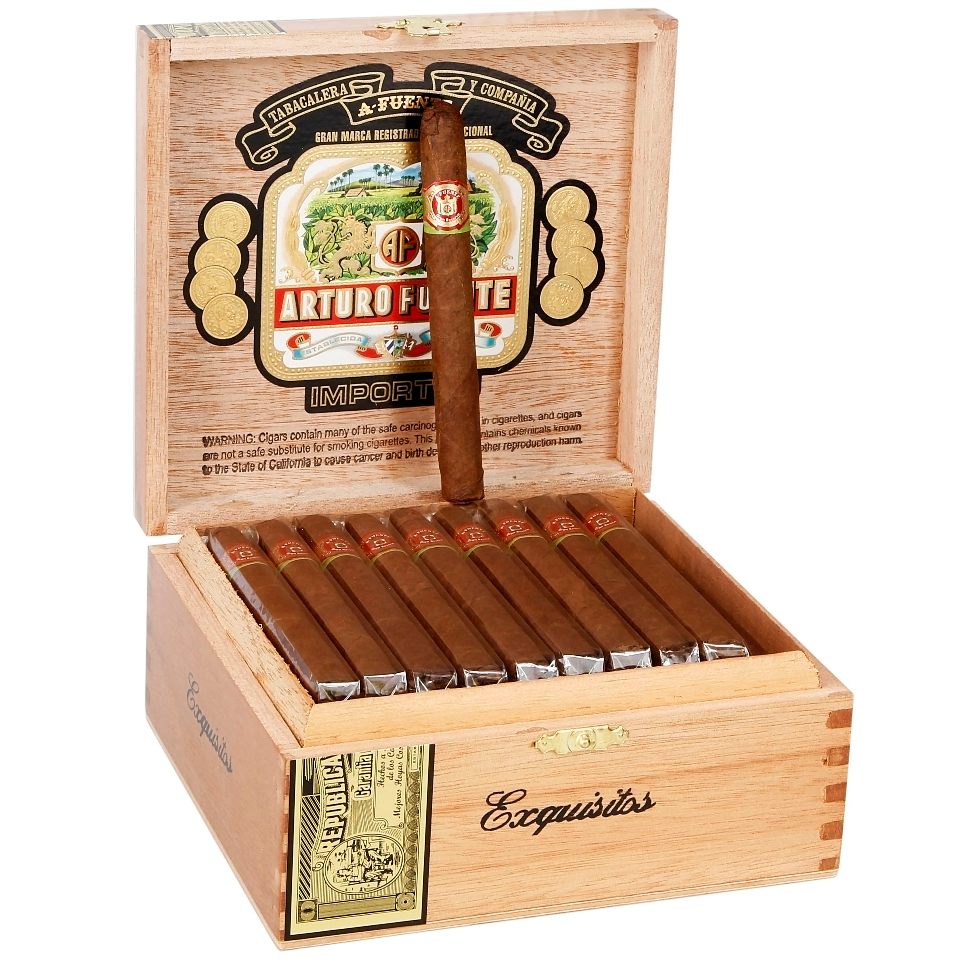 Fuente Exquisitos Natural